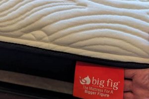 BigFig Mattress Reviews: Best [Year] Comfort & Value? | Organic & Natural Mattress Buyer’s Guide: Non-Toxic Sleep Solutions