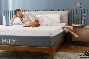 Are Milly Mattress Reviews Legit? + Ratings & Guide Organic & Natural Mattress Buyer’s Guide: Non-Toxic Sleep Solutions Are Milly Mattress Reviews Legit? + Ratings & Guide | Organic & Natural Mattress Buyer’s Guide: Non-Toxic Sleep Solutions