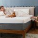 Are Milly Mattress Reviews Legit? + Ratings & Guide | Organic & Natural Mattress Buyer’s Guide: Non-Toxic Sleep Solutions
