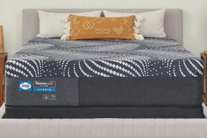 Sealy High Point 14 Plush Reviews: Is It Worth It? Organic & Natural Mattress Buyer’s Guide: Non-Toxic Sleep Solutions Sealy High Point 14 Plush Reviews: Is It Worth It? | Organic & Natural Mattress Buyer’s Guide: Non-Toxic Sleep Solutions