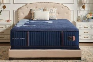 Sterns & Foster Mattress Reviews: Before & After You Buy! Organic & Natural Mattress Buyer’s Guide: Non-Toxic Sleep Solutions Sterns & Foster Mattress Reviews: Before & After You Buy! | Organic & Natural Mattress Buyer’s Guide: Non-Toxic Sleep Solutions