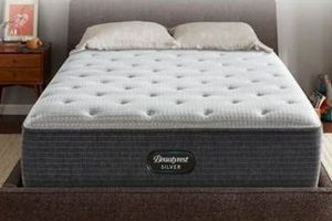 Beautyrest Silver Hybrid: Is It Worth It? Reviews & More Organic & Natural Mattress Buyer’s Guide: Non-Toxic Sleep Solutions Beautyrest Silver Hybrid: Is It Worth It? Reviews & More | Organic & Natural Mattress Buyer’s Guide: Non-Toxic Sleep Solutions