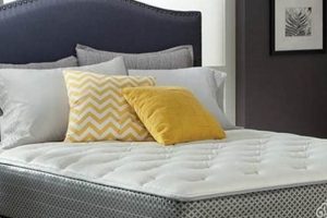 Prefix Kingsdown Mattress Reviews: Suffix? Organic & Natural Mattress Buyer’s Guide: Non-Toxic Sleep Solutions Prefix Kingsdown Mattress Reviews: Suffix? | Organic & Natural Mattress Buyer’s Guide: Non-Toxic Sleep Solutions