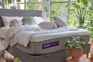 Puffy Mattress Reviews: Is It Worth It? [Year] Guide | Organic & Natural Mattress Buyer’s Guide: Non-Toxic Sleep Solutions