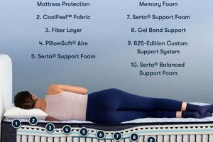 Is Serta Blue Lagoon Mattress Review Legit? + Guide Organic & Natural Mattress Buyer’s Guide: Non-Toxic Sleep Solutions Is Serta Blue Lagoon Mattress Review Legit? + Guide | Organic & Natural Mattress Buyer’s Guide: Non-Toxic Sleep Solutions