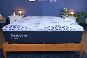 Is Sleepy's Hybrid Mattress Right? A Review & Analysis Organic & Natural Mattress Buyer’s Guide: Non-Toxic Sleep Solutions Is Sleepy's Hybrid Mattress Right? A Review & Analysis | Organic & Natural Mattress Buyer’s Guide: Non-Toxic Sleep Solutions