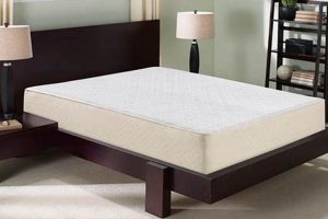 Best Foam Mattress Reviews 2024: Find Your Perfect Sleep Organic & Natural Mattress Buyer’s Guide: Non-Toxic Sleep Solutions Best Foam Mattress Reviews 2024: Find Your Perfect Sleep | Organic & Natural Mattress Buyer’s Guide: Non-Toxic Sleep Solutions