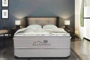Top Spring Air Mattress Review Guide + Tips Organic & Natural Mattress Buyer’s Guide: Non-Toxic Sleep Solutions Top Spring Air Mattress Review Guide + Tips | Organic & Natural Mattress Buyer’s Guide: Non-Toxic Sleep Solutions