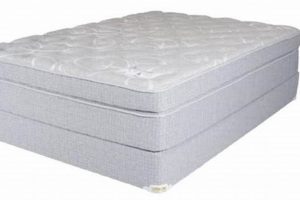 Lebeda Mattress Reviews: Ratings, Prices & More Organic & Natural Mattress Buyer’s Guide: Non-Toxic Sleep Solutions Lebeda Mattress Reviews: Ratings, Prices & More | Organic & Natural Mattress Buyer’s Guide: Non-Toxic Sleep Solutions