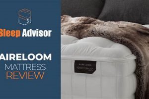 Is Aireloom Mattress Right? Review + Ratings Organic & Natural Mattress Buyer’s Guide: Non-Toxic Sleep Solutions Is Aireloom Mattress Right? Review + Ratings | Organic & Natural Mattress Buyer’s Guide: Non-Toxic Sleep Solutions