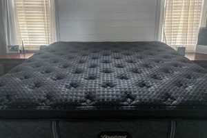 Is Beautyrest Mattress Review Worth It? [2024 Guide] | Organic & Natural Mattress Buyer’s Guide: Non-Toxic Sleep Solutions
