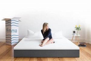 Is Emma Mattress Review Worth It? [2024] | Organic & Natural Mattress Buyer’s Guide: Non-Toxic Sleep Solutions