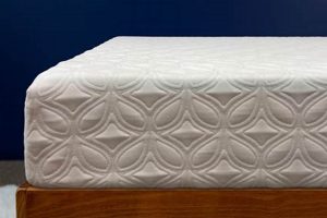 Complete Reviews on Cocoon Mattress: Before & After Organic & Natural Mattress Buyer’s Guide: Non-Toxic Sleep Solutions Complete Reviews on Cocoon Mattress: Before & After | Organic & Natural Mattress Buyer’s Guide: Non-Toxic Sleep Solutions