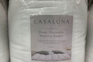 Is Casaluna Mattress Topper Worth It? Reviews & More Organic & Natural Mattress Buyer’s Guide: Non-Toxic Sleep Solutions Is Casaluna Mattress Topper Worth It? Reviews & More | Organic & Natural Mattress Buyer’s Guide: Non-Toxic Sleep Solutions