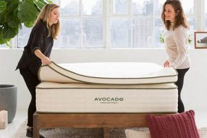 The Ultimate Latex Mattress Topper Reviews Guide: Find Yours! Organic & Natural Mattress Buyer’s Guide: Non-Toxic Sleep Solutions The Ultimate Latex Mattress Topper Reviews Guide: Find Yours! | Organic & Natural Mattress Buyer’s Guide: Non-Toxic Sleep Solutions