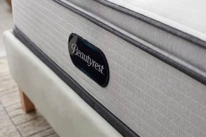 Beautyrest BR800 Mattress Reviews: Is It Worth It? Organic & Natural Mattress Buyer’s Guide: Non-Toxic Sleep Solutions Beautyrest BR800 Mattress Reviews: Is It Worth It? | Organic & Natural Mattress Buyer’s Guide: Non-Toxic Sleep Solutions