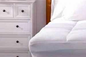 Best Hanherry Mattress Topper Reviews: [Year] Guide | Organic & Natural Mattress Buyer’s Guide: Non-Toxic Sleep Solutions