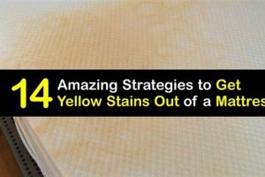 Easy! How to Get Rid of Yellow Mattress Stains Fast Organic & Natural Mattress Buyer’s Guide: Non-Toxic Sleep Solutions Easy! How to Get Rid of Yellow Mattress Stains Fast | Organic & Natural Mattress Buyer’s Guide: Non-Toxic Sleep Solutions