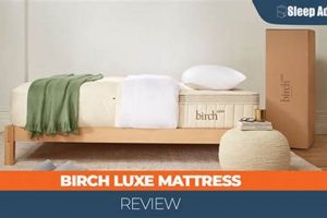The Honest Birch Luxe Mattress Reviews: Is It Worth It? | Organic & Natural Mattress Buyer’s Guide: Non-Toxic Sleep Solutions
