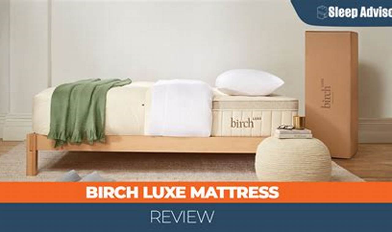 The Honest Birch Luxe Mattress Reviews: Is It Worth It? Organic & Natural Mattress Buyer’s Guide: Non-Toxic Sleep Solutions The Honest Birch Luxe Mattress Reviews: Is It Worth It? | Organic & Natural Mattress Buyer’s Guide: Non-Toxic Sleep Solutions