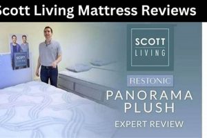 Best Scott Living Mattress Reviews {Year} - Is It Worth It? | Organic & Natural Mattress Buyer’s Guide: Non-Toxic Sleep Solutions