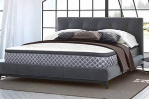 Spring Air Mattress Reviews: Are They Worth It? Organic & Natural Mattress Buyer’s Guide: Non-Toxic Sleep Solutions Spring Air Mattress Reviews: Are They Worth It? | Organic & Natural Mattress Buyer’s Guide: Non-Toxic Sleep Solutions