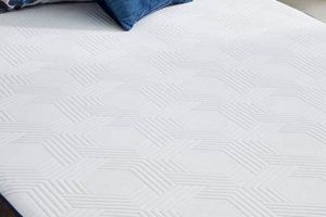 Dr. Oz Mattress Reviews: Before You Buy + Alternatives | Organic & Natural Mattress Buyer’s Guide: Non-Toxic Sleep Solutions