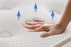 Koantti Mattress Reviews: Best [Year] [Pros & Cons] | Organic & Natural Mattress Buyer’s Guide: Non-Toxic Sleep Solutions