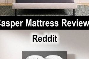 Honest Casper Mattress Reviews Reddit: What Users Say! | Organic & Natural Mattress Buyer’s Guide: Non-Toxic Sleep Solutions