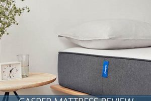 Casper Mattress Reviews: Is It Worth It? Expert & User | Organic & Natural Mattress Buyer’s Guide: Non-Toxic Sleep Solutions
