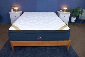 Are DreamCloud Premier Mattress Reviews Legit? + Ratings | Organic & Natural Mattress Buyer’s Guide: Non-Toxic Sleep Solutions