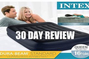 Best Intex Air Mattress Reviews: Comfort & Value | Organic & Natural Mattress Buyer’s Guide: Non-Toxic Sleep Solutions