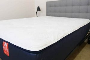 Honest Big Fig Mattress Reviews: Is It Worth It? | Organic & Natural Mattress Buyer’s Guide: Non-Toxic Sleep Solutions