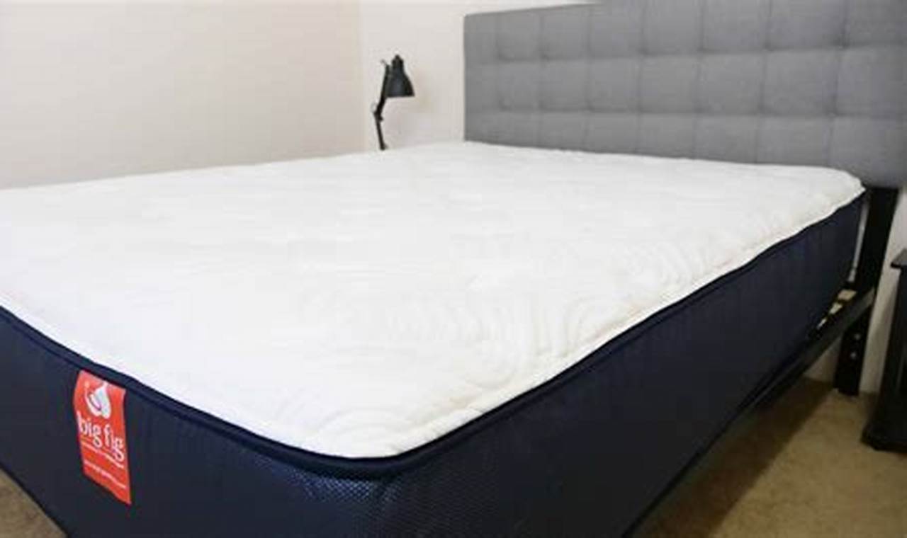 Honest Big Fig Mattress Reviews: Is It Worth It? Organic & Natural Mattress Buyer’s Guide: Non-Toxic Sleep Solutions Honest Big Fig Mattress Reviews: Is It Worth It? | Organic & Natural Mattress Buyer’s Guide: Non-Toxic Sleep Solutions
