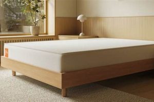 Honest, Boring Mattress Review 2024: Is It Worth It? | Organic & Natural Mattress Buyer’s Guide: Non-Toxic Sleep Solutions