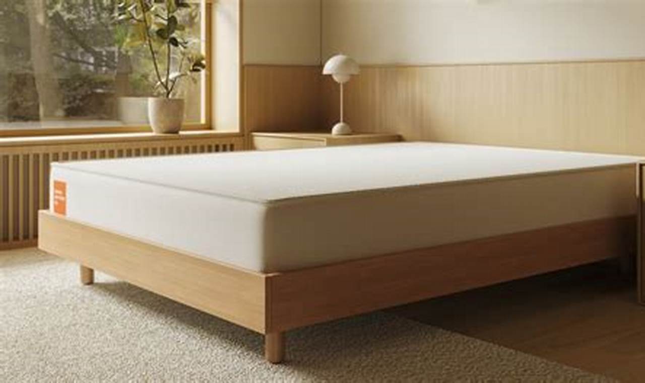 Honest, Boring Mattress Review 2024: Is It Worth It? Organic & Natural Mattress Buyer’s Guide: Non-Toxic Sleep Solutions Honest, Boring Mattress Review 2024: Is It Worth It? | Organic & Natural Mattress Buyer’s Guide: Non-Toxic Sleep Solutions