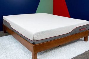 Honest Molblly Mattress Reviews: Is It Worth It? Organic & Natural Mattress Buyer’s Guide: Non-Toxic Sleep Solutions Honest Molblly Mattress Reviews: Is It Worth It? | Organic & Natural Mattress Buyer’s Guide: Non-Toxic Sleep Solutions