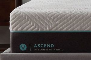 Malouf Mattress Reviews: [Year] Best Picks & Alternatives | Organic & Natural Mattress Buyer’s Guide: Non-Toxic Sleep Solutions