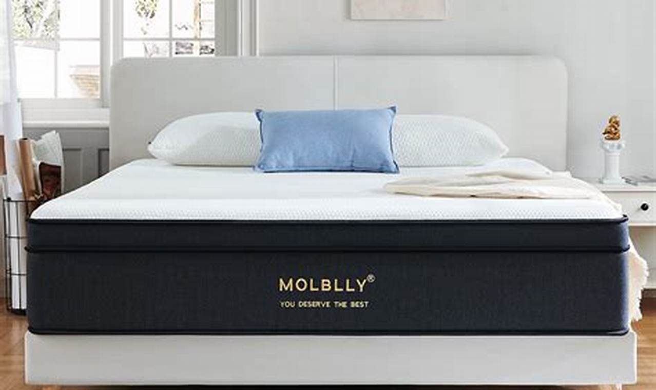 Is Molblly Mattress Review Legit? [2024 Tests] | Organic & Natural Mattress Buyer’s Guide: Non-Toxic Sleep Solutions