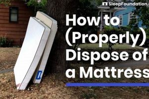 Free Mattress Removal: Easy Ways to Get Rid of Your Old One Organic & Natural Mattress Buyer’s Guide: Non-Toxic Sleep Solutions Free Mattress Removal: Easy Ways to Get Rid of Your Old One | Organic & Natural Mattress Buyer’s Guide: Non-Toxic Sleep Solutions