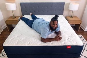 Big Fig Mattress Negative Reviews: Issues & Alternatives | Organic & Natural Mattress Buyer’s Guide: Non-Toxic Sleep Solutions