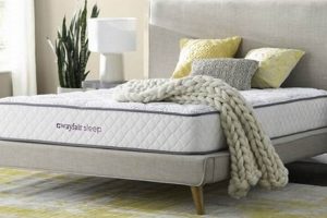 Best Wayfair Mattress Reviews: Is It Worth It? | Organic & Natural Mattress Buyer’s Guide: Non-Toxic Sleep Solutions