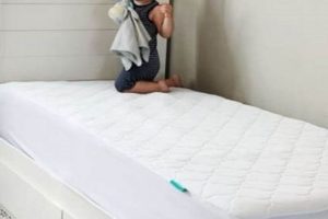 Is Newton Mattress Right For You? A Comprehensive Review | Organic & Natural Mattress Buyer’s Guide: Non-Toxic Sleep Solutions