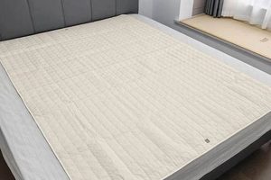 Best Earthing Mattress Reviews: Is Grounding Real? | Organic & Natural Mattress Buyer’s Guide: Non-Toxic Sleep Solutions