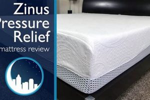 The Ultimate Zinus Mattress Review: Is It Worth It? Organic & Natural Mattress Buyer’s Guide: Non-Toxic Sleep Solutions The Ultimate Zinus Mattress Review: Is It Worth It? | Organic & Natural Mattress Buyer’s Guide: Non-Toxic Sleep Solutions