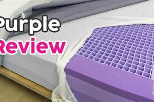 Purple Mattress Reviews: Is It Worth It? [Year] Guide | Organic & Natural Mattress Buyer’s Guide: Non-Toxic Sleep Solutions