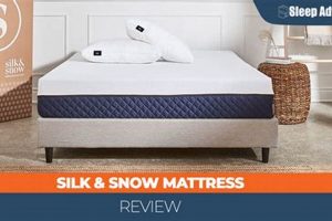 Is Silk & Snow Mattress Worth It? [Review + Guide] | Organic & Natural Mattress Buyer’s Guide: Non-Toxic Sleep Solutions