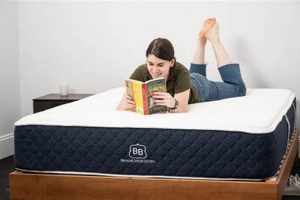 Brooklyn Mattress Review: Tested & Compared [2024] | Organic & Natural Mattress Buyer’s Guide: Non-Toxic Sleep Solutions