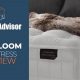 Expert Aireloom Mattress Reviews: Is It Worth It? | Organic & Natural Mattress Buyer’s Guide: Non-Toxic Sleep Solutions