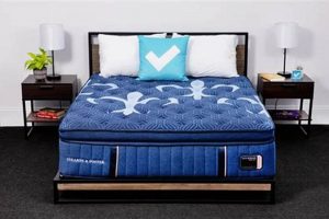 Is It Worth It? Stearns & Foster Estate Mattress Reviews [2024] | Organic & Natural Mattress Buyer’s Guide: Non-Toxic Sleep Solutions